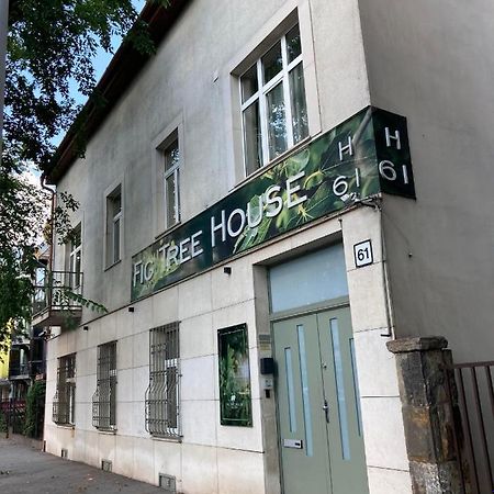 Fig Tree House Daire Budapeşte Dış mekan fotoğraf